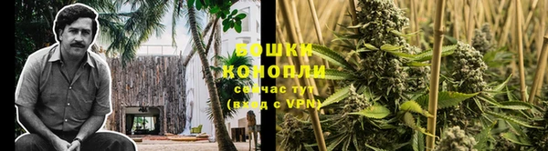 2c-b Абаза