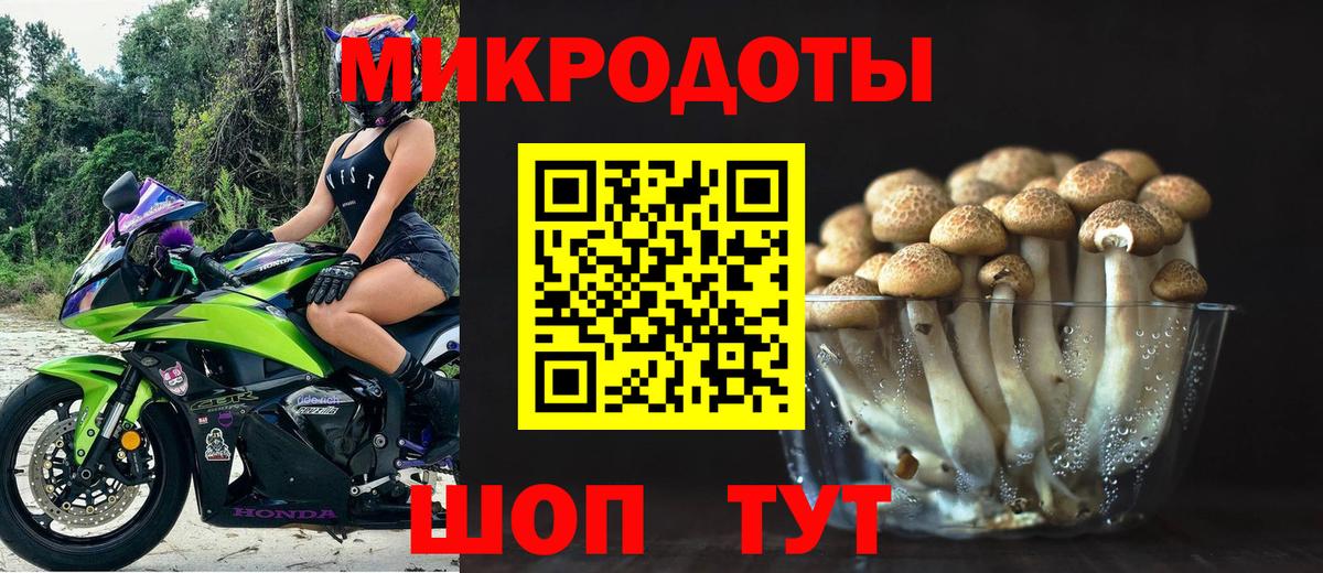 Галлюциногенные грибы мухоморы Алатырь
