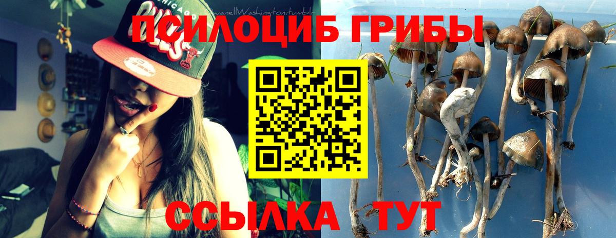 продажа наркотиков  Галлюциногенные грибы GOLDEN TEACHER  Вход с VPN  Алатырь 